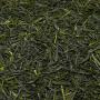 Detailn� obr�zek
