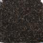 Ceylon Ruhuna Kalutara FBOPFEXSP 1 SUSANTHA Golden Tips