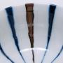 Detailn� obr�zek