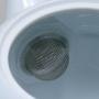 Detailn� obr�zek