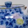 Detailn� obr�zek