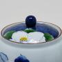 Detailn� obr�zek