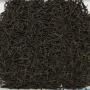 Ceylon Ruhuna FBOPFEXSP 1 TEA BANK Silver Tips