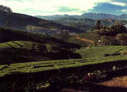 Sr&iacute; Lanka